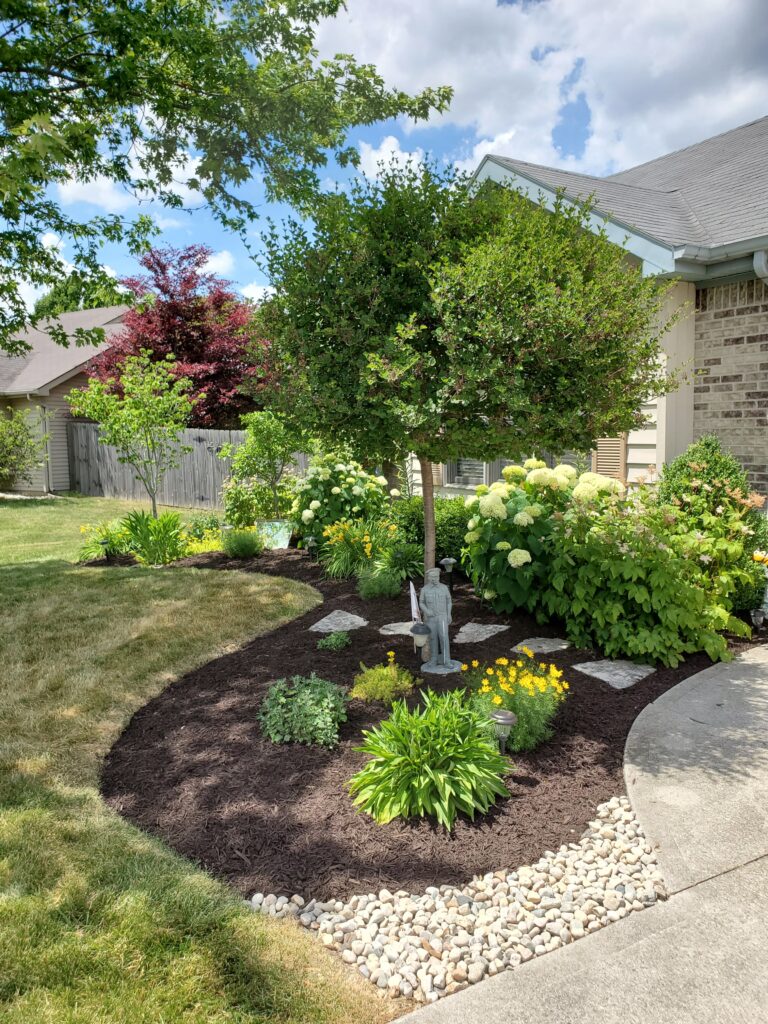 small ranch front yard idea trenched edging boxwood hedge under window lilac tree standard form garden statue foundation planting auburn indiana