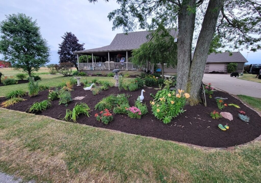 Farmhouse flower bed trenched landscape border fine dark mulch before and after: farmhouse flower bed revival landscape design Leo Indiana