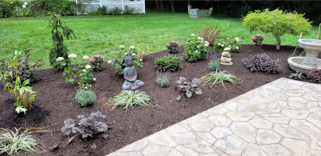 Backyard meditation garden after: Invincibelle Wee White® Smooth Hydrangea fountain coral bell fall feather grass lavender hydrangea weeping evergreen dwarf green maple tree cairn rock stack tall garden sedum japanese garden zen garden backyard meditation garden with Buddha after landscape design Auburn Indiana
