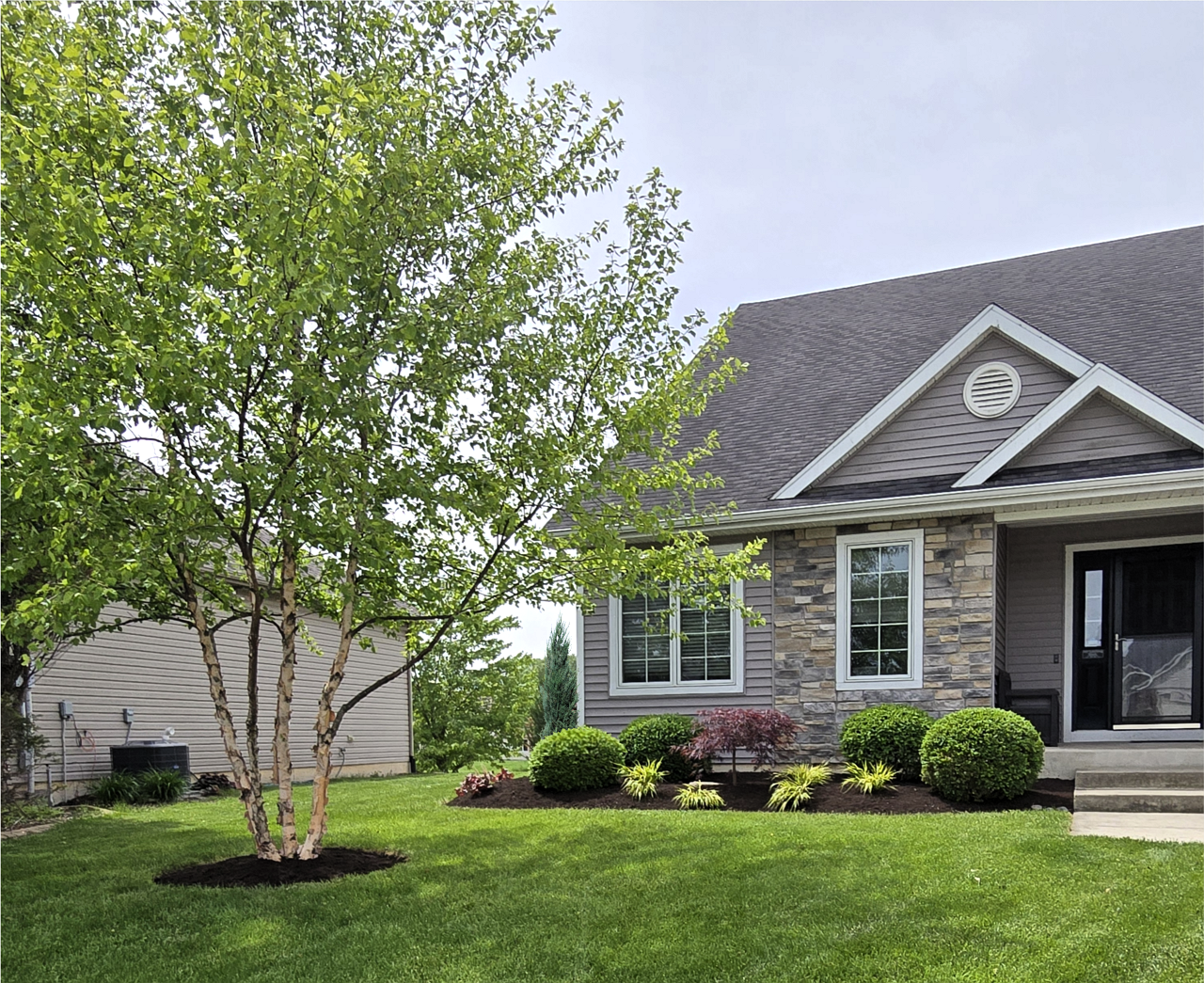 Landscape Design, Modern Ranch Landscaping, Auburn, Indiana, Shade Gardening, Juniper, Japanese Forest Grass, Rhode Island Maple, Trautman Juniper, Paper Birch